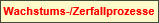 Wachstum, Zerfall (6.Klasse)